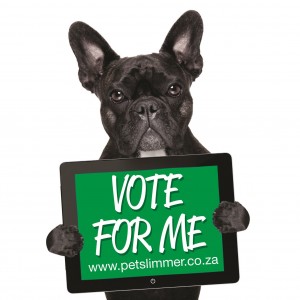 2014 - Vote for Me - Frenchie (magazine)
