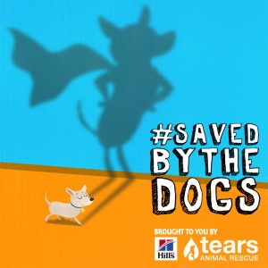 Saved by the dogs