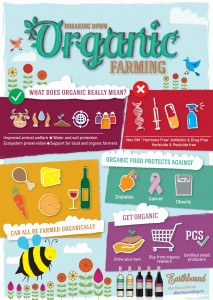 EARTHBOUND_INFOGRAPHIC