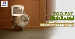 hills-facebook-ad-1200x628_4